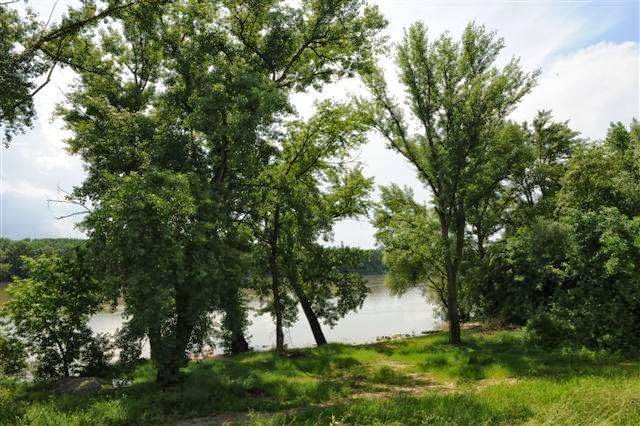 Močanská čárda - Gastronómia a pohostinstvo