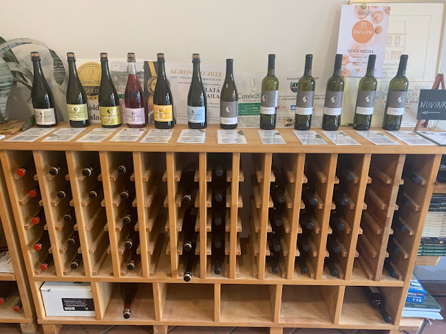 Opinii despre Víno a sekty Malík în Modra - Gastronómia a pohostinstvo