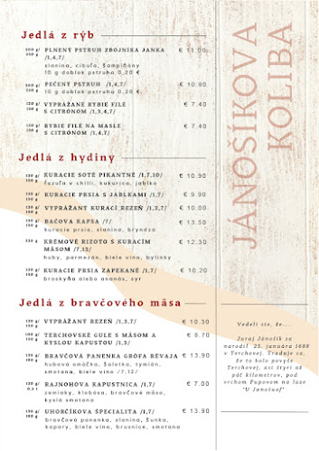 Opinii despre Jánošíkova koliba în Terchová - Gastronómia a pohostinstvo