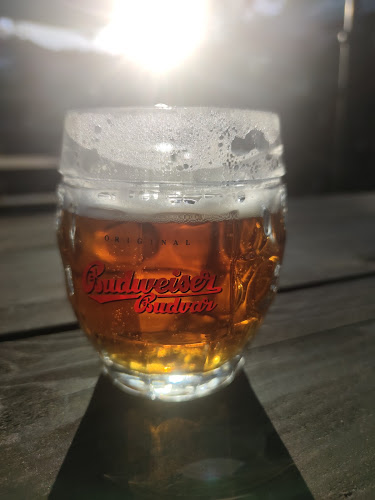 Opinii despre Čičky Areál în Sídlisko KVP - Gastronómia a pohostinstvo