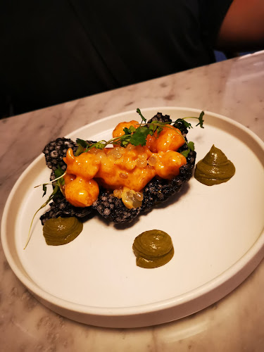 Comentarii opinii despre Gatto Matto Ventúrska