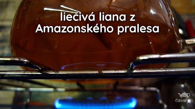 ČAVANGO - Gastronómia a pohostinstvo