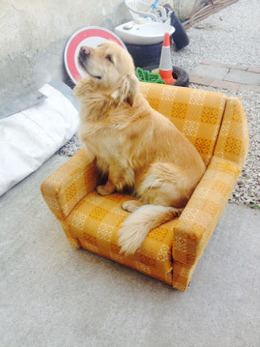 Kvetinárstvo A & Z IRIS s.r.o. - Stará Turá