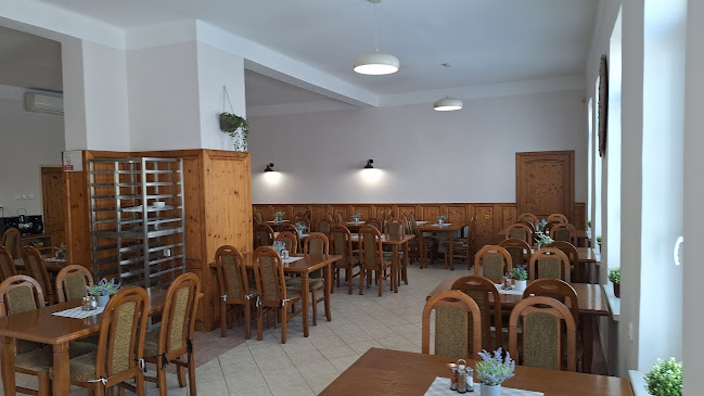 Comentarii opinii despre Bono