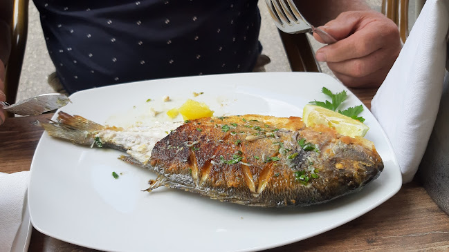 Dunajská 4516/66, 811 08 Bratislava