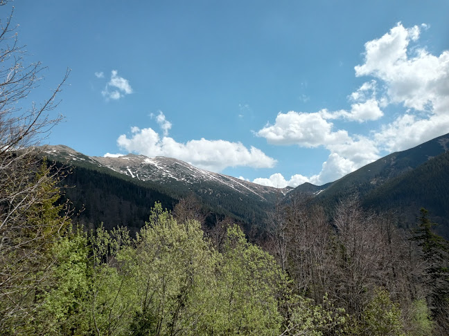 Comentarii opinii despre Srdiečko