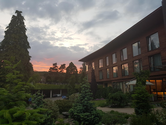 Opinii despre Furmanská krčma în Modra - Gastronómia a pohostinstvo