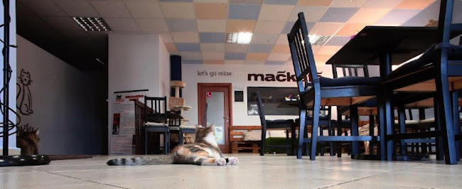 Comentarii opinii despre Mačkafé klub