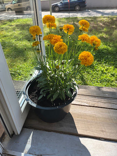 Opinii despre TreskaBar UNIZA în Žilina - Gastronómia a pohostinstvo