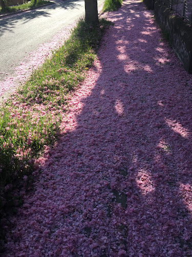 Hodálova 1, 949 01 Nitra