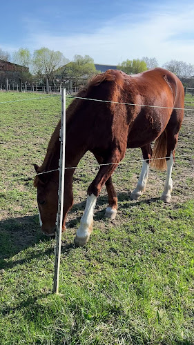 Opinii despre Reštaurácia Rozálka în Pezinok - Gastronómia a pohostinstvo
