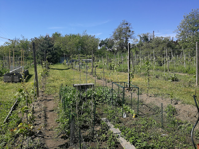 Vinica a mobilná záhrada