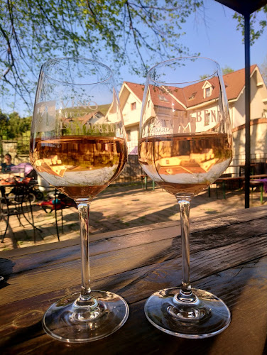 Opinii despre areál THEBENER - Devínsky ríbezlák în Devín - Gastronómia a pohostinstvo