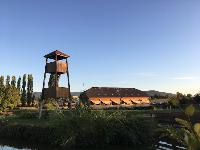 Rybárska bašta a penzión DOBYS - Solčany