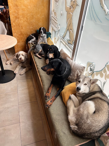 Mánesovo námestie 1, 851 01 Petržalka