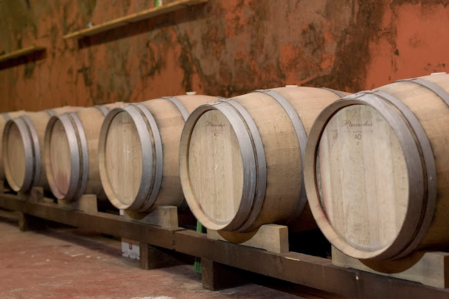 Opinii despre Vinotéka André Bratislava în Bratislava - Gastronómia a pohostinstvo