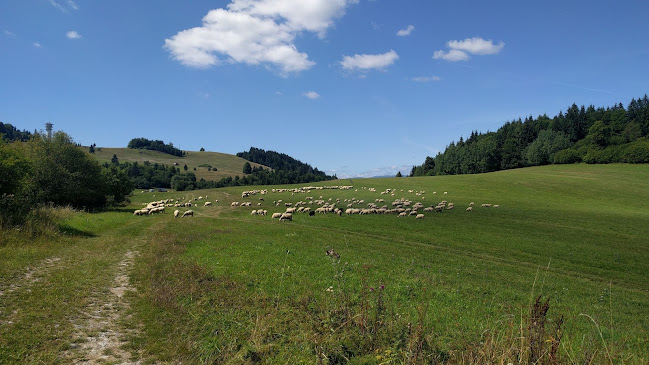 Opinii despre Dedečkova chata în Mýto pod Ďumbierom - Gastronómia a pohostinstvo