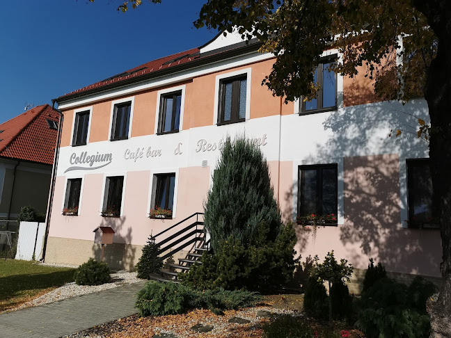 Námestie svätého Martina 409/5, 908 51 Holíč