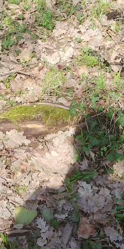 SHARKAM B&B CATERING s.r.o.