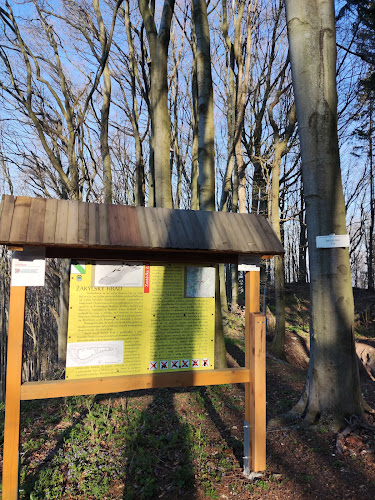 Comentarii opinii despre Žakylské Pohostinstvo