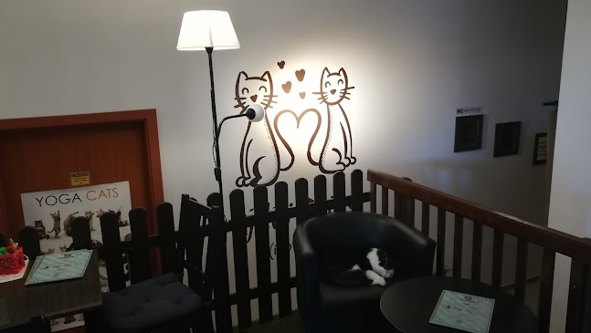 Mačkafé klub - Bratislava