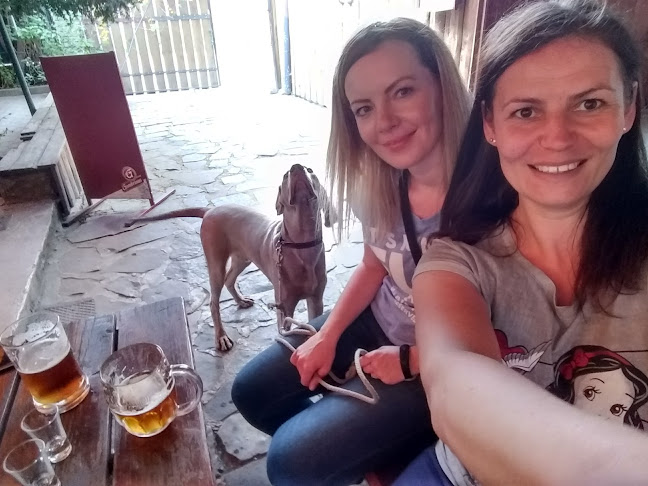 Piváreň Kocúr - Zvolen