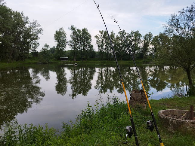 Opinii despre Prístavisko Veľký Ostrov - Bufet Stefan în Kolárovo - Gastronómia a pohostinstvo