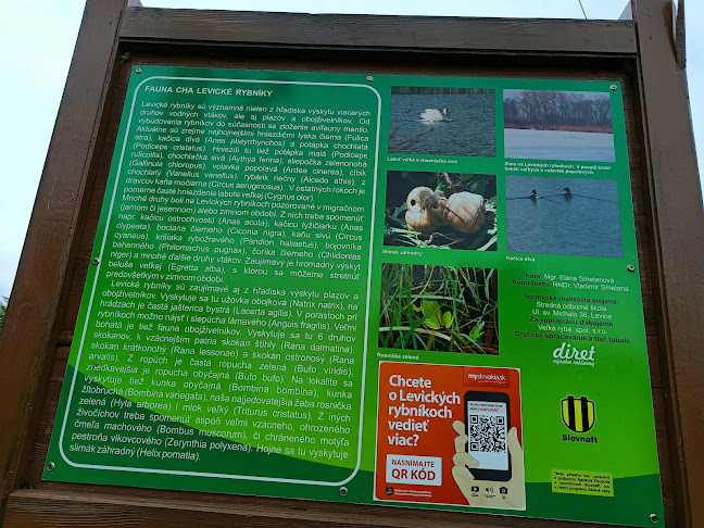 Levické rybníky s.r.o. - Levice