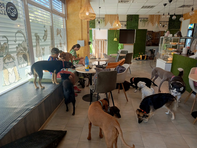 Psia škôlka a Caffetéria - Petržalka