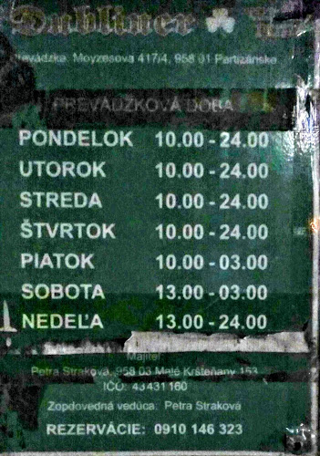 The Dubliner irish pub