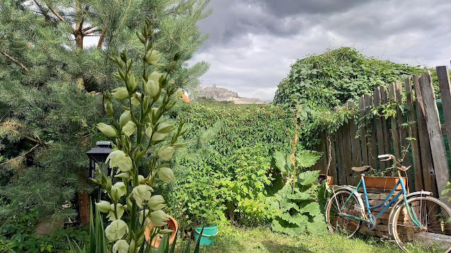 Café Dabar - Gastronómia a pohostinstvo