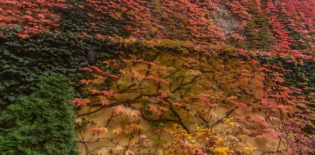 Dublin Cafe - Prešov