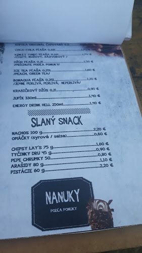 Pláž na Počkaji, Ružín - Gastronómia a pohostinstvo