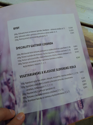 Opinii despre Gasthof LEVANDA în Nižný Medzev - Gastronómia a pohostinstvo