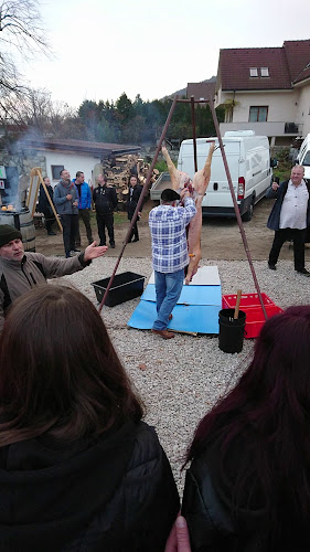 areál THEBENER - Devínsky ríbezlák - Gastronómia a pohostinstvo