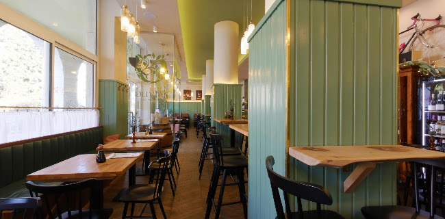 Antona Bernoláka 11, 010 01 Žilina