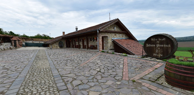 Comentarii opinii despre Pivnica a penzión u Pištu