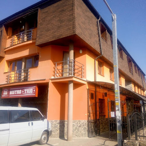 Pizzeria - Bistro Trio - Gastronómia a pohostinstvo