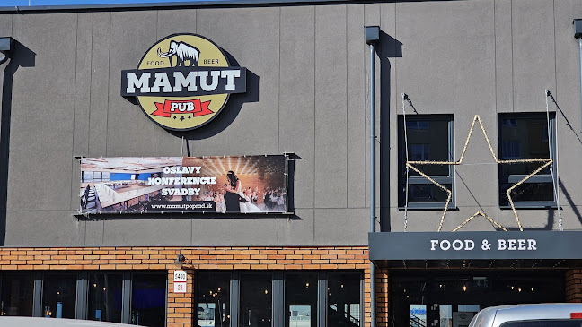 Comentarii opinii despre Mamut Pub