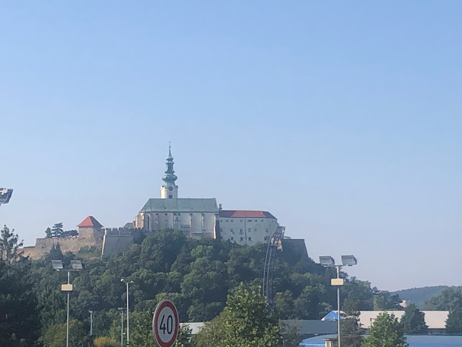 Opinii despre Pizzeria Ristorante Toscana în Zobor - Gastronómia a pohostinstvo