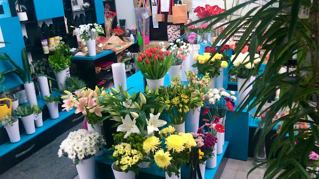 Garden Cafe & Kvety Victor