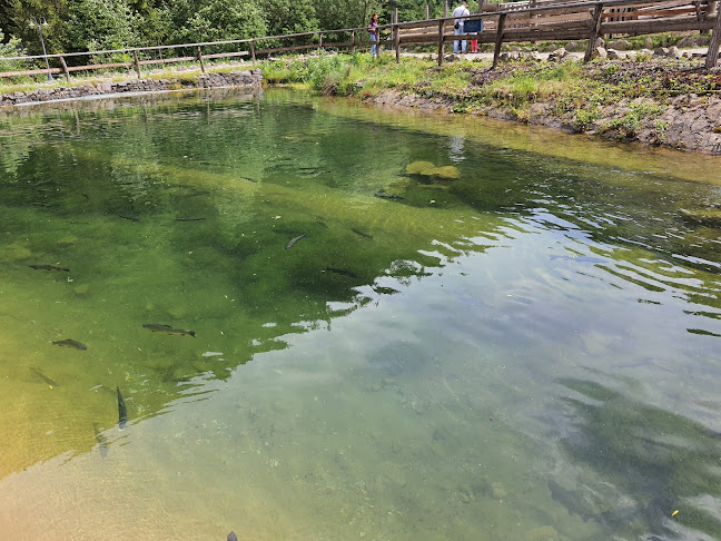 Comentarii opinii despre Koliba u Dobrého pastiera - penzión a reštaurácia