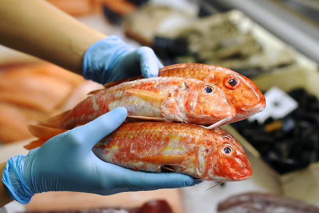 MyFish - Čerstvé ryby a morské plody - Gastronómia a pohostinstvo