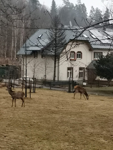 Tatranská reštaurácia - Gastronómia a pohostinstvo