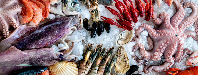 Marták Ryby-Špeciality - Považská Bystrica