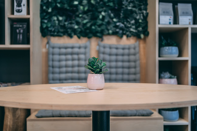 Opinii despre Cukráreň Nová Botanika în Trnava - Gastronómia a pohostinstvo