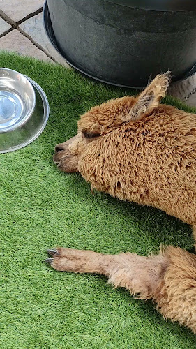 Bite&Byte - Gastronómia a pohostinstvo