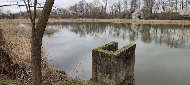 Comentarii opinii despre Levické rybníky s.r.o.