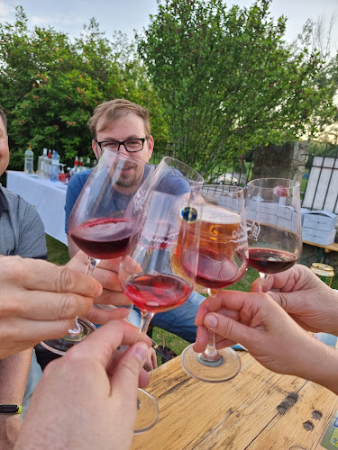 Comentarii opinii despre areál THEBENER - Devínsky ríbezlák