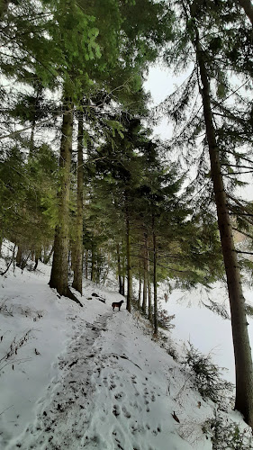 Comentarii opinii despre Klinger - Bufet